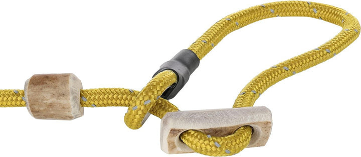 Hundeleine mit Halsband 6mm | Moxonleine Retrieverleine Agilityleine | Mit Zugbegrenzung, Zugstopp a