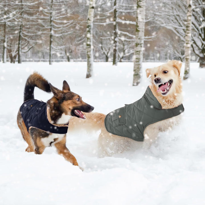 CITÉTOILE Wintermantel Hundemantel, Warme Winterjacken mit Fleece für Hunde,Hundejacke Hundekleidung