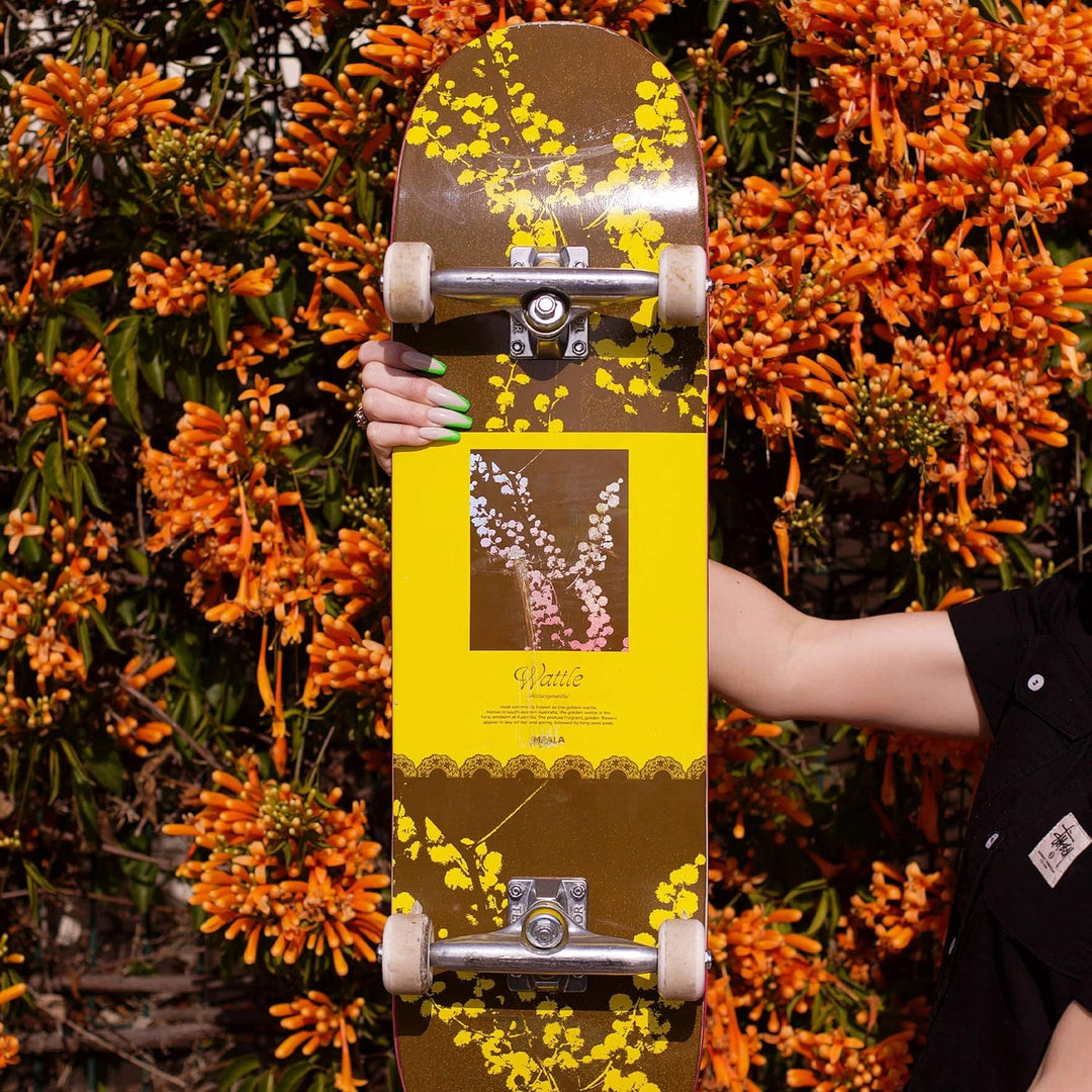 Impala Skate – Skateboard Blossom 8.5" Wattle, 8.5" Wattle