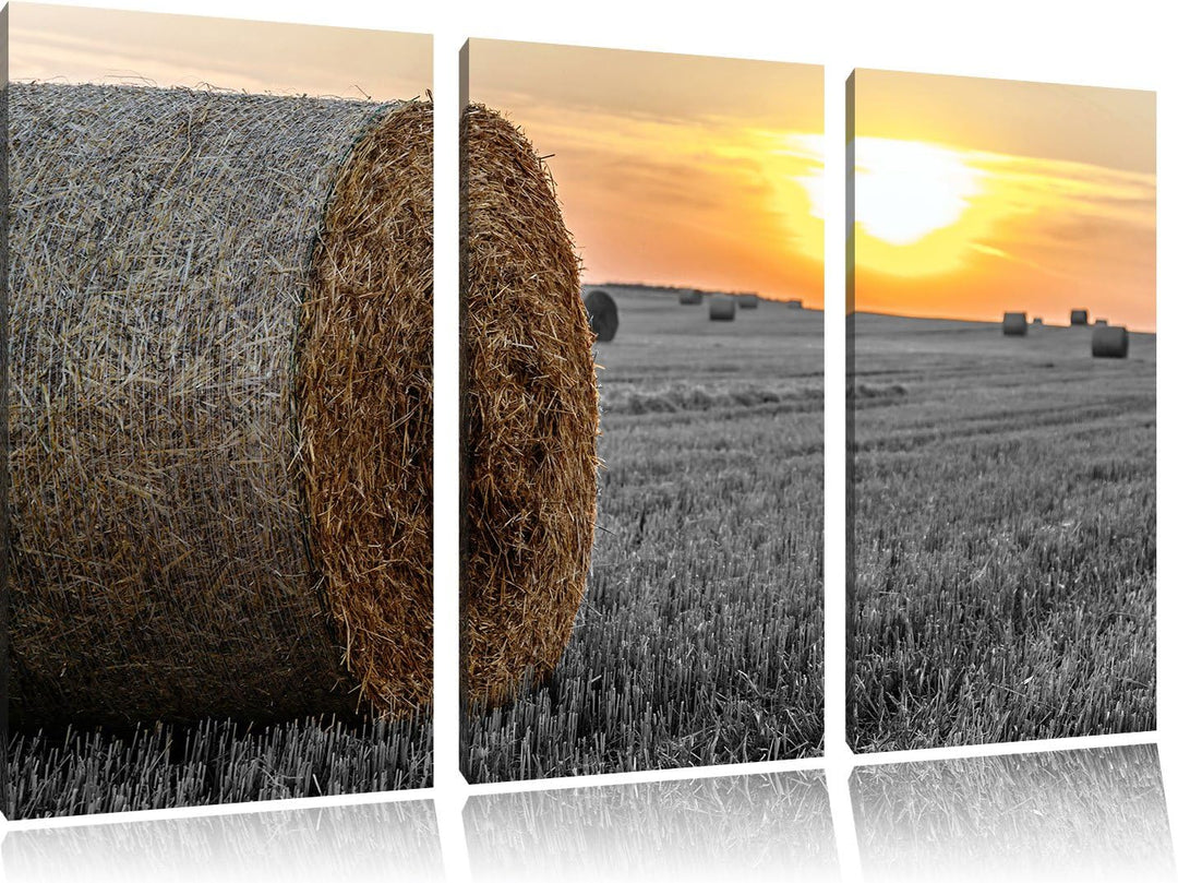 Pixxprint Strohballen auf Feld als Leinwandbild/Grösse: 3 Teilig (120x80) cm/Wandbild/Kunstdruck/fer