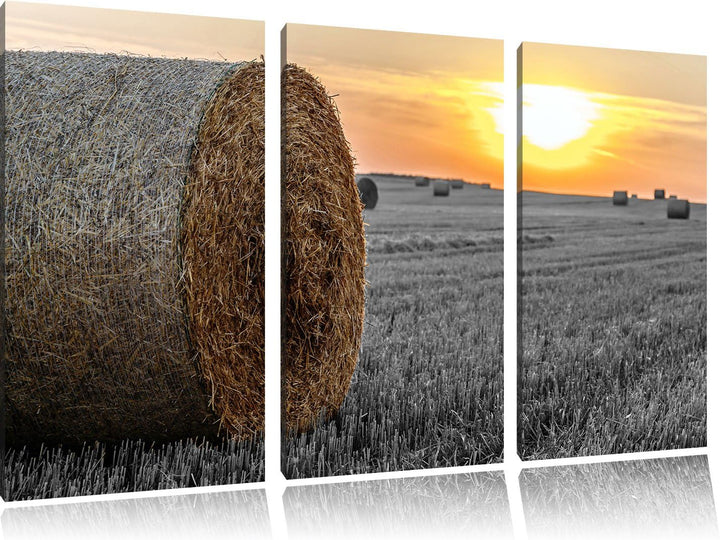 Pixxprint Strohballen auf Feld als Leinwandbild/Grösse: 3 Teilig (120x80) cm/Wandbild/Kunstdruck/fer