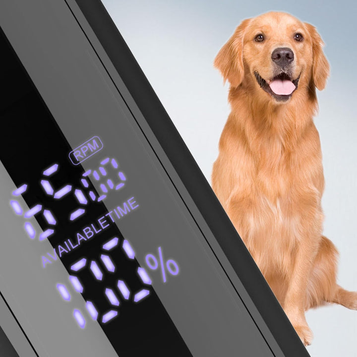 LUCKDANO Hunde-Haarschneidemaschine, Pflegeset, Elektrischer Haustier-Trimmer, Geräuscharm, Professi