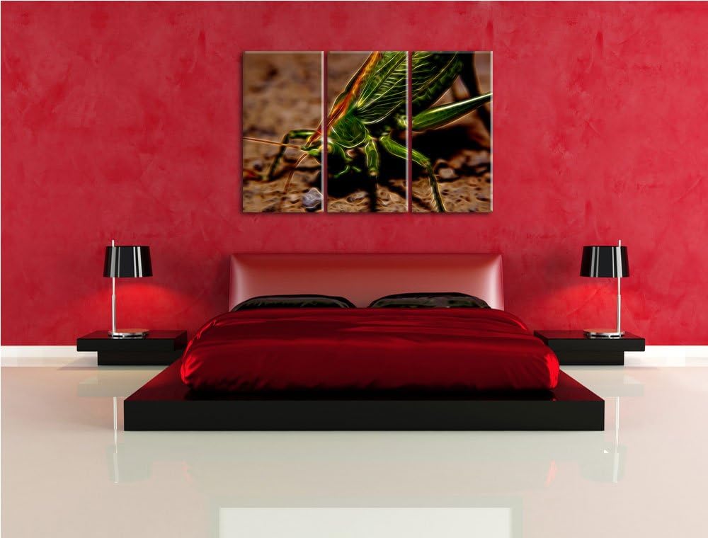 schöne Heuschrecke NewArt 3-Teiler Leinwandbild 120x80 Bild auf Leinwand, XXL riesige Bilder fertig