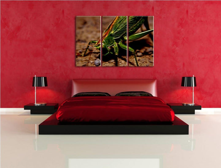 schöne Heuschrecke NewArt 3-Teiler Leinwandbild 120x80 Bild auf Leinwand, XXL riesige Bilder fertig