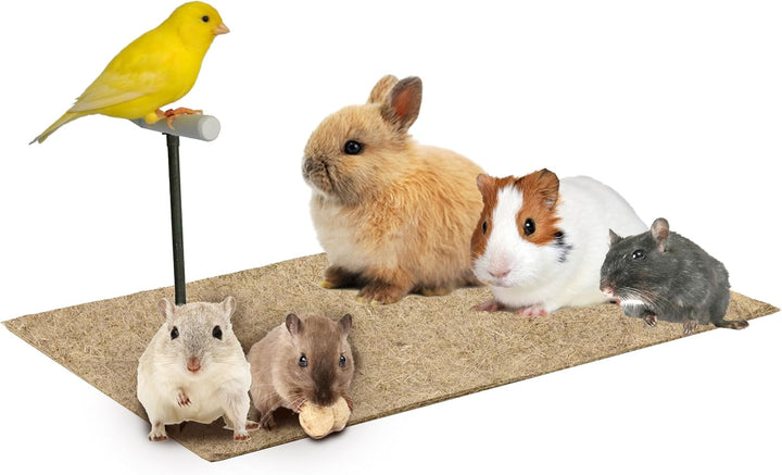 La Cordeline Set mit 6 Matten für Katzenstreu, Hanf, 25 x 40 cm, 1000 g/m² – Boden für Nager, Kaninc