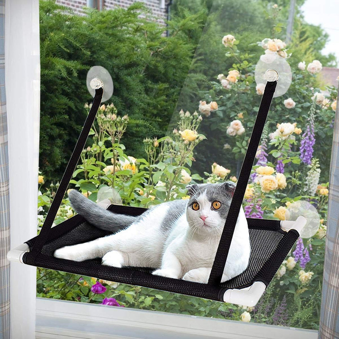 Katzen Fensterplätze, Katzen Zubehör, Fensterplatz Window Lounger Hängematte für Kletterwand-Miezeka