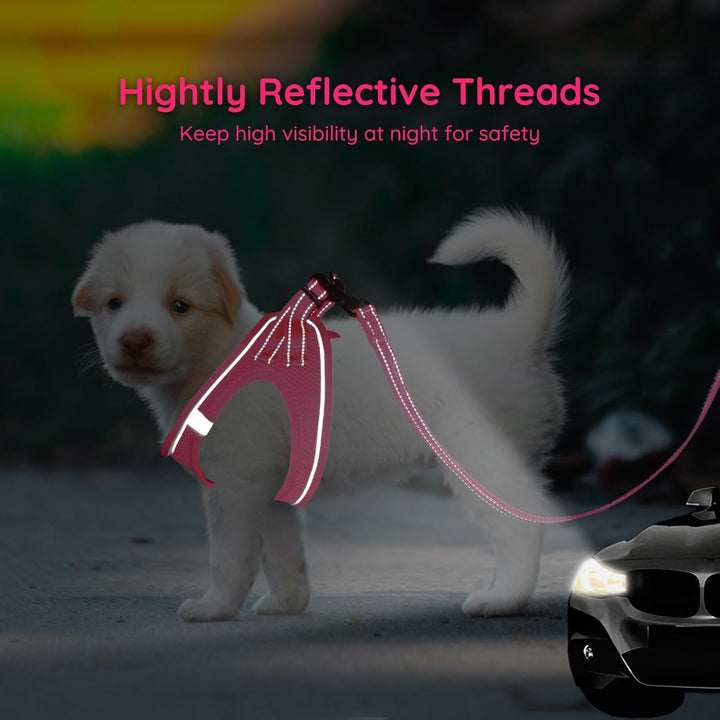 BELLA & PAL Hundegeschirr Kleine Hunde mit Leine, Step-in Geschirr aus Air Mesh, Anti Zug Reflektier