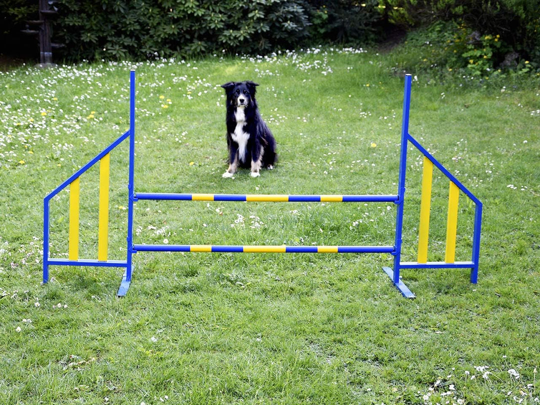 PROCYON Agility Hürde für Hunde Profi-Training-Set FCI konform Hürden Hundeport