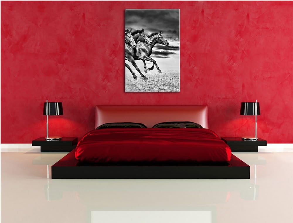 Pixxprint Monocrome, DREI Wilde Westernpferde, Format: 100x70 auf Leinwand, riesige Bilder fertig ge
