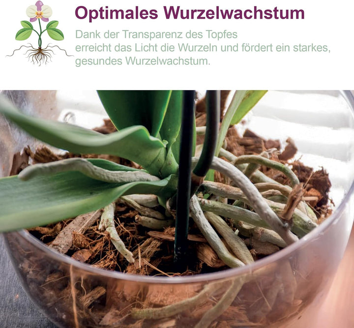 Kalapanta 5 transparente Plastiktöpfe für Orchideen mit Entwässerungslöchern und 5 Untersetzers (5,
