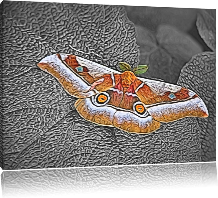 eleganter Schmetterling auf Blatt schwarz/weiss Deluxe Format: 100x70 cm auf Leinwand, XXL riesige B