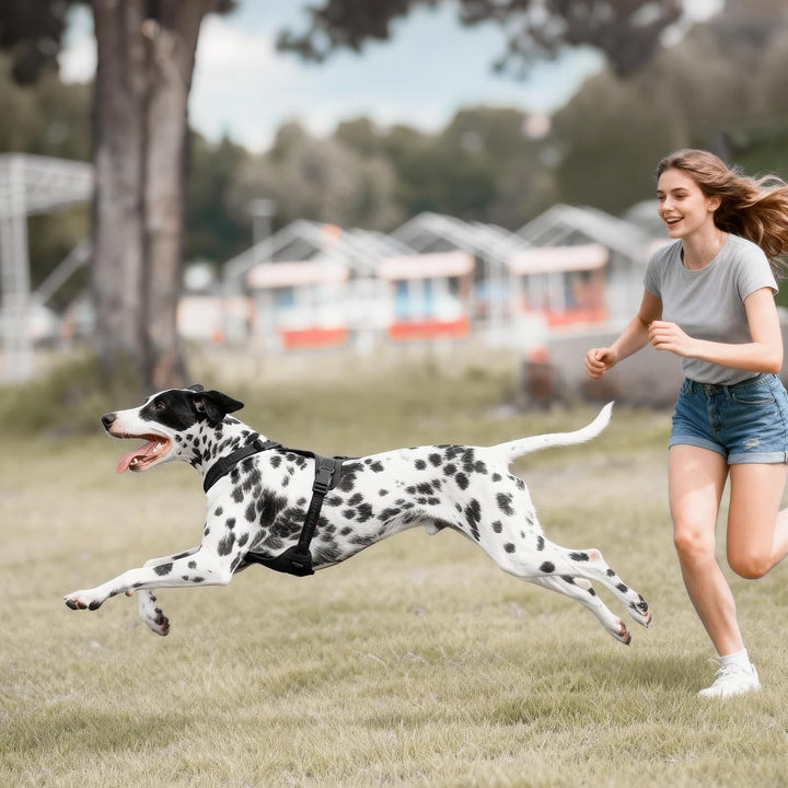 No Pull Hundegeschirr mit weicher Lycra-Polsterung, atmungsaktiver Komfortweste aus Mesh, Verstellba