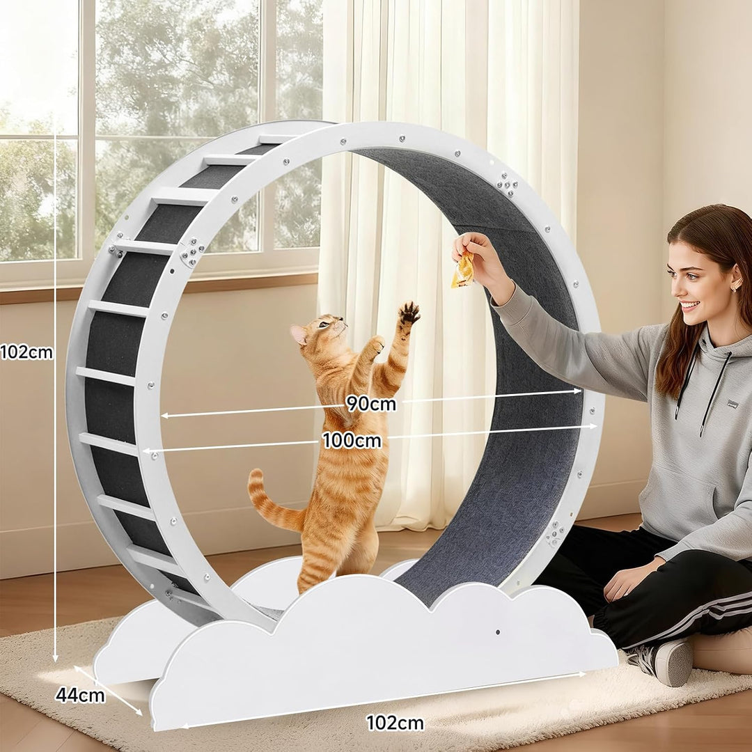 GTPLAYER Katzenlaufrad, laufrad Katze, Extra grosser 100 cm, ultraleises Laufrad mit Abnehmbarer Tep