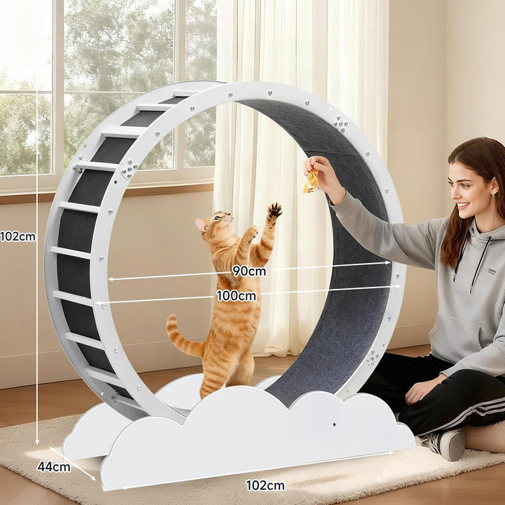 GTPLAYER Katzenlaufrad, laufrad Katze, Extra grosser 100 cm, ultraleises Laufrad mit Abnehmbarer Tep