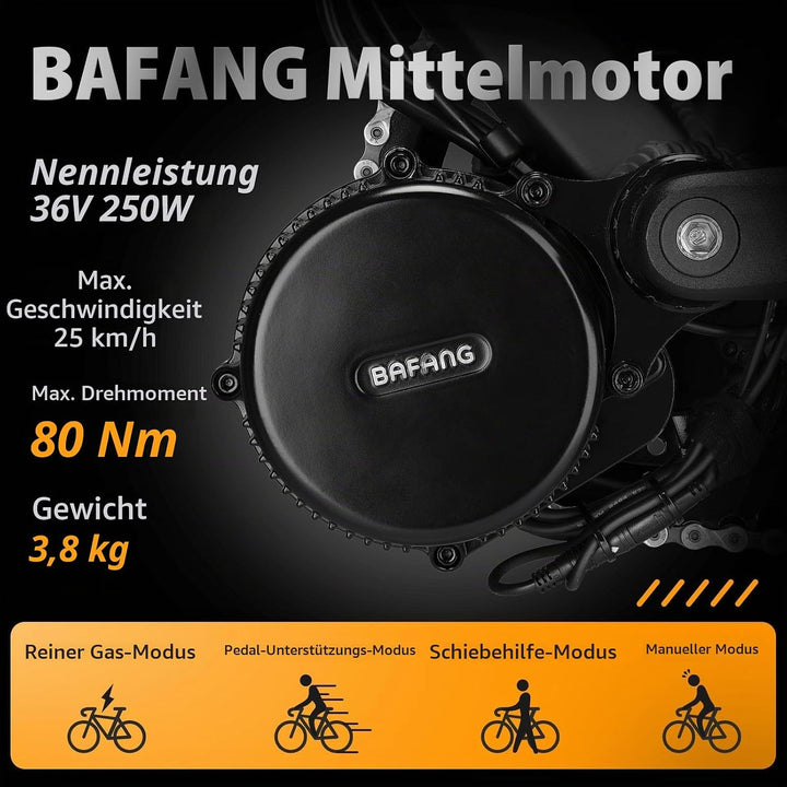 Bafang Mittelmotor 250w 36V mit Akku BBS01B G340 ebike Umbausatz Mit Bafang Display, Batterie (Optio