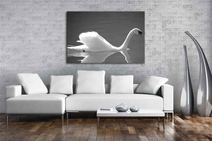 deyoli entzückender Schwan Effekt: Schwarz/Weiss Format: 80x60 als Leinwandbild, Motiv fertig gerahm
