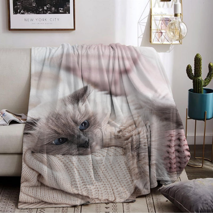 Katzemotiv Kuscheldecke für Kinder, Katzen Flanell Decke,Kinderdecke Katzemotiv Flauschige Plüsch De