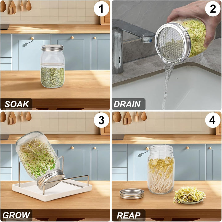 Sprossenglas, Sprossen Keimglas 2er Set, Sprouting Jar mit Deckel, Sieb & Abtropfschale, Sprossen Ke