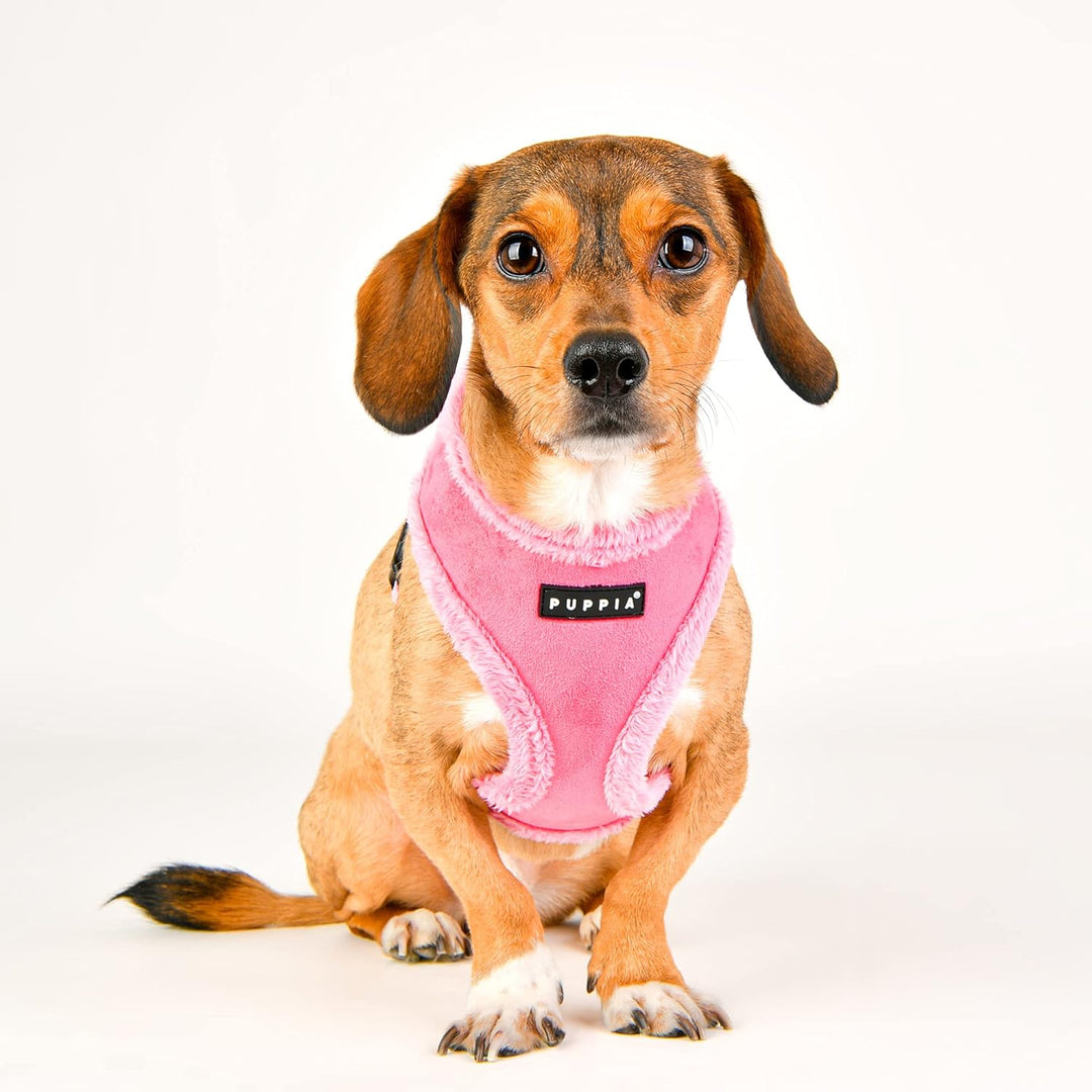 Puppia Hundegeschirr für kleine und mittelgrosse Hunde - Terry Harness A - verstellbar und komfortab