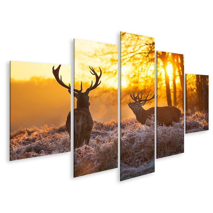 islandburner Bild auf Leinwand Zwei Rehe In Morgensonne Bilder Wandbilder Poster Leinwand 170x80cm -