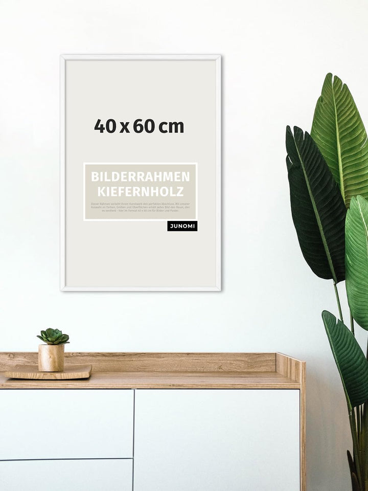 Bilderrahmen 40x60 cm Holz | Farbe Weiss | Posterrahmen mit bruchsicherem Acrylglas | Hoch- & Querfo