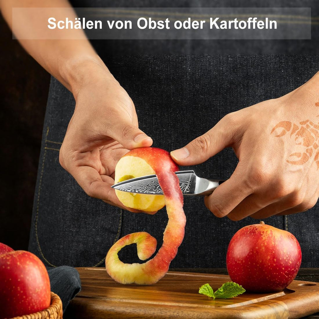 Sunnecko Obstmesser Gemüsemesser Spickmesser 3,5 Zoll, mit 67-Schichten Damaststahl VG-10 Klinge Kle
