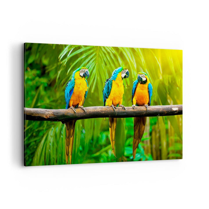 Bilder auf Leinwand 100x70cm Leinwandbild Papageien Collorful Natur Vögel Gross Wanddeko Bild Schlaf