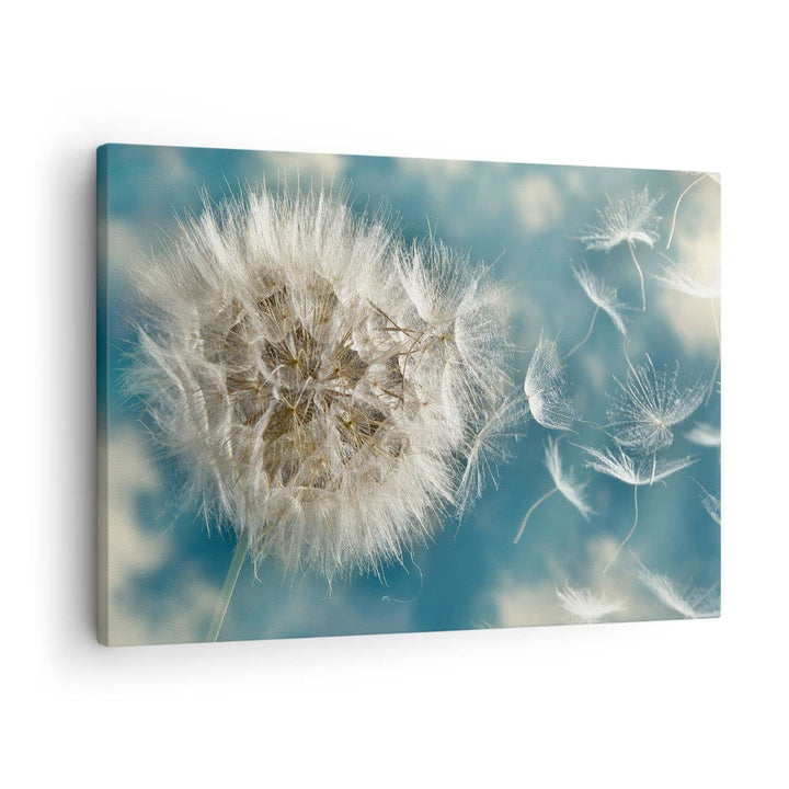 Bilder auf Leinwand Baby Sommer Pflanze Leinwandbild mit Rahmen 70x50cm Wandbilder Dekoration Wohnzi