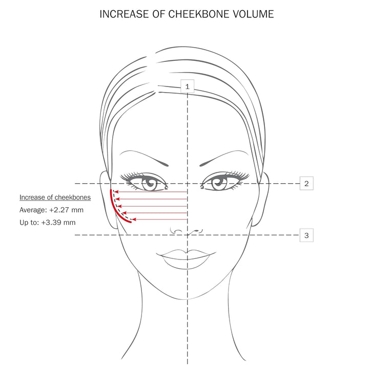 Fillerina Dermo Cosmetic Filler Treatment Grade 2