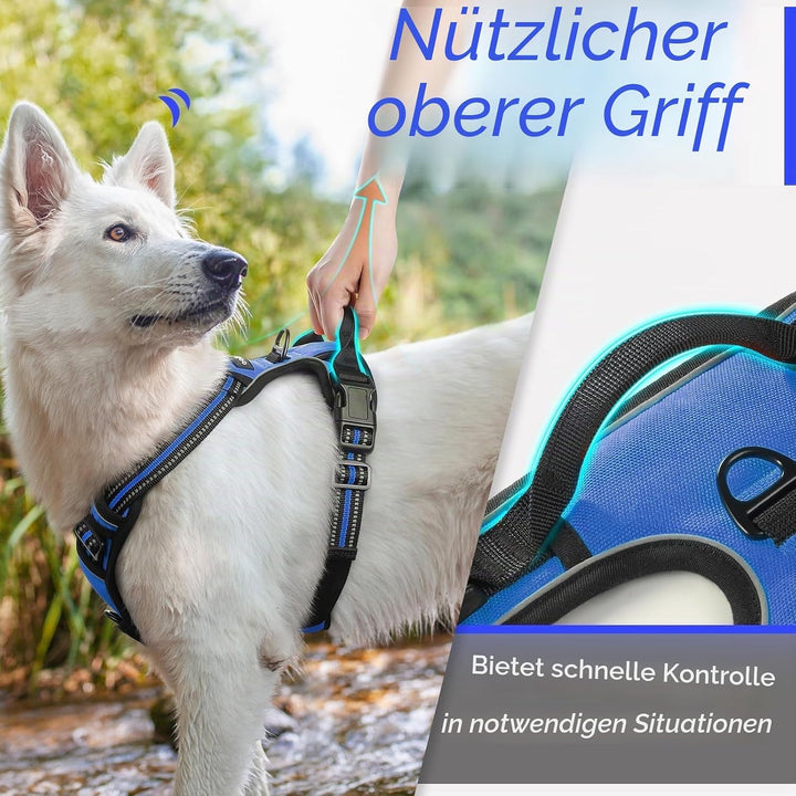 Eagloo Hundegeschirr Kleine Hunde, Anti Zug Hundegeschirr mit Reflexstreifen und Kontrolle, Verstell