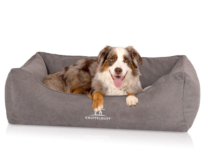 Knuffelwuff orthopädisches Hundebett Baltimore M-L 80 x 55cm Grau - Hundekissen für grosse, mittelgr