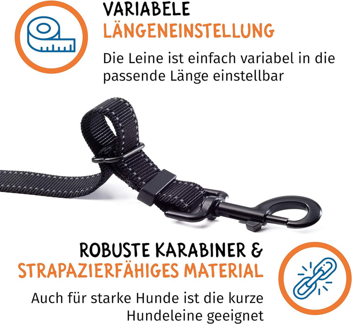 Floxik Doppelleine Komplett-Set gross | Flexible, reflektierende Premium Hundeleine für Zwei Hunde z
