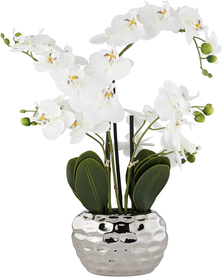 Dahlia Studios Kunstpflanze Orchidee Phalaenopsis mit silber-farbigem Keramiktopf - ca. 53cm hoch (w