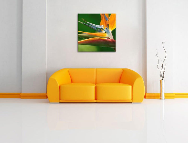 Pixxprint Tropische Blume, Format: 70x70 auf Leinwand, XXL riesige Bilder fertig gerahmt mit Keilrah