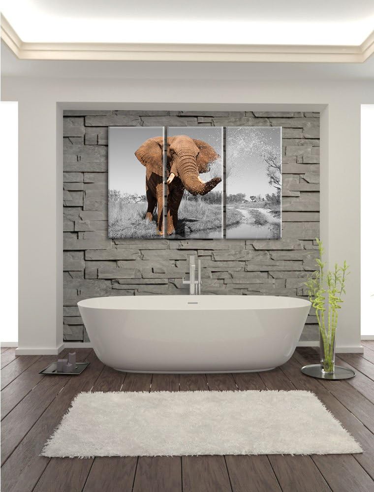 Pixxprint schöner Elefant spritzt mit Wasser als Leinwandbild/Grösse: 3 Teilig (120x80) cm/Wandbild/