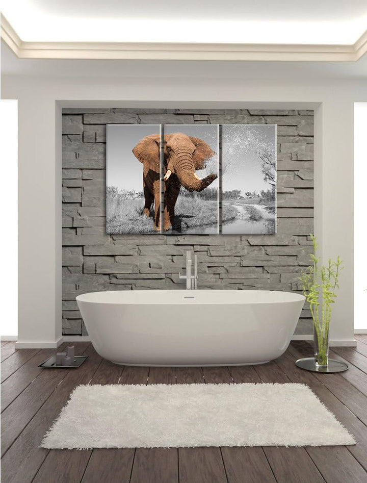 Pixxprint schöner Elefant spritzt mit Wasser als Leinwandbild/Grösse: 3 Teilig (120x80) cm/Wandbild/
