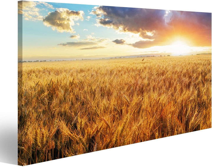 Bild Bilder auf Leinwand Sonnenuntergang über dem Weizenfeld Wandbild Poster Leinwandbild RBI 100x57
