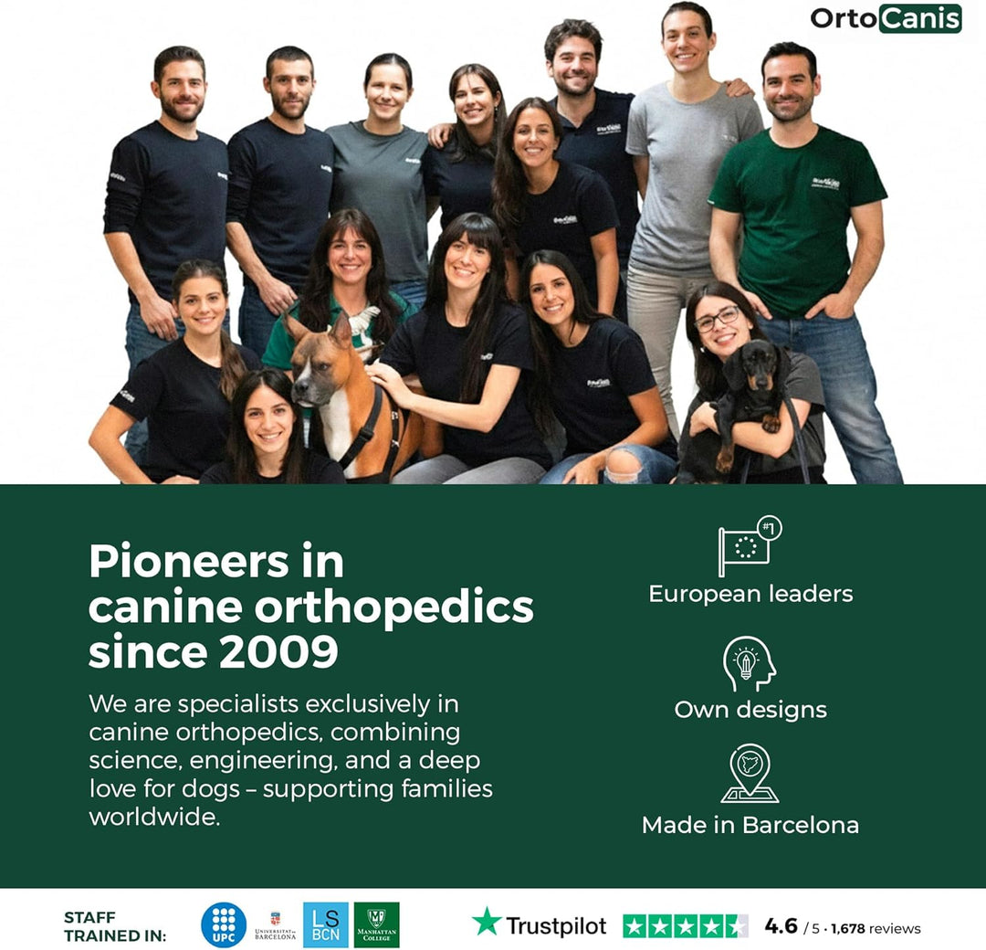 Ortocanis - Hüftorthese für Hunde - Hüftdysplasie, Hüftschmerzen oder Lokalisierten Arthrose - Stabi