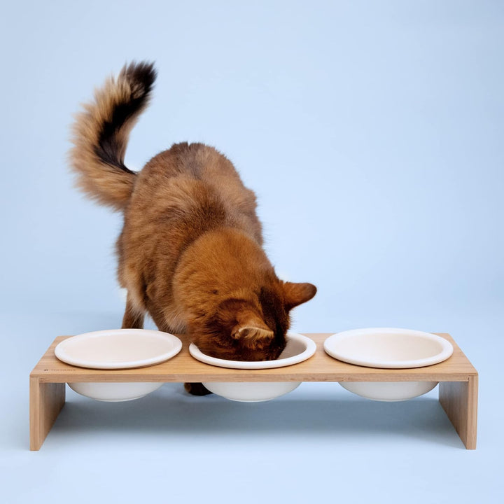 Navaris 3X Fressnapf aus Keramik Futterstation Set - Katzennapf Hundenapf 3 Stück - Futternapf Katze