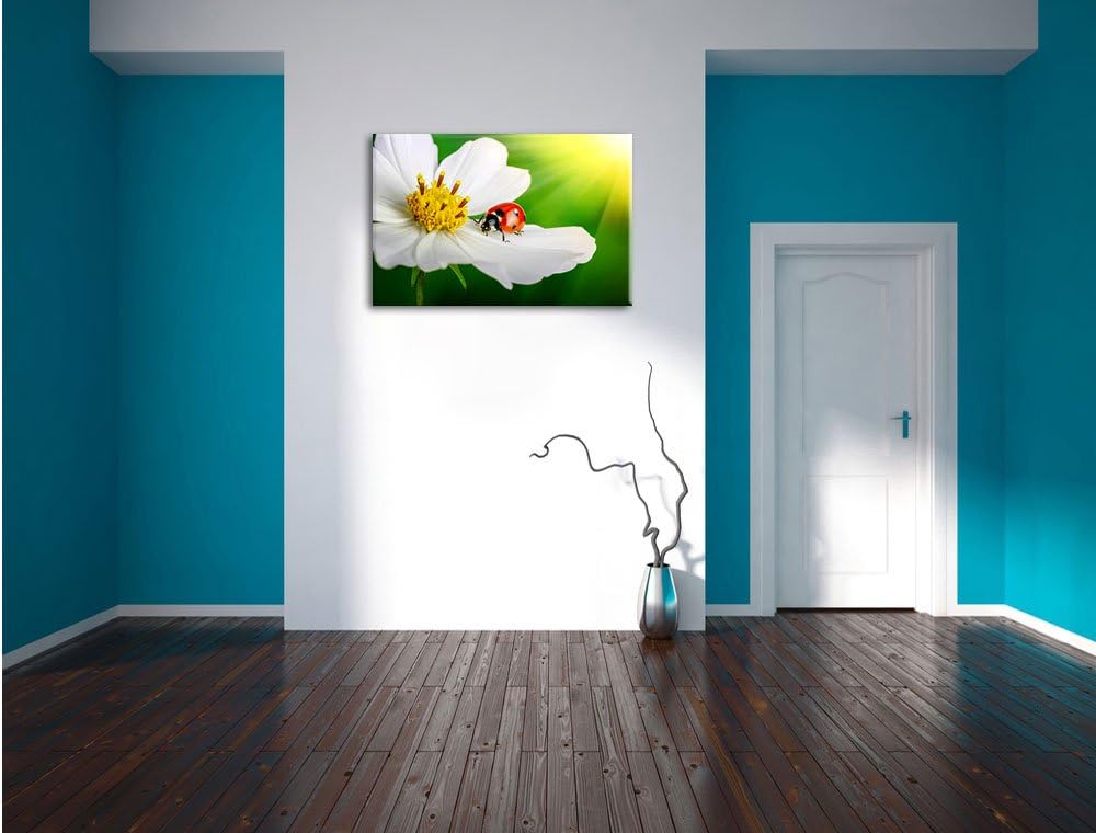 Pixxprint Marienkäfer auf Einer weissen Blume als Leinwandbild/Grösse: 100x70 cm/Wandbild/Kunstdruck