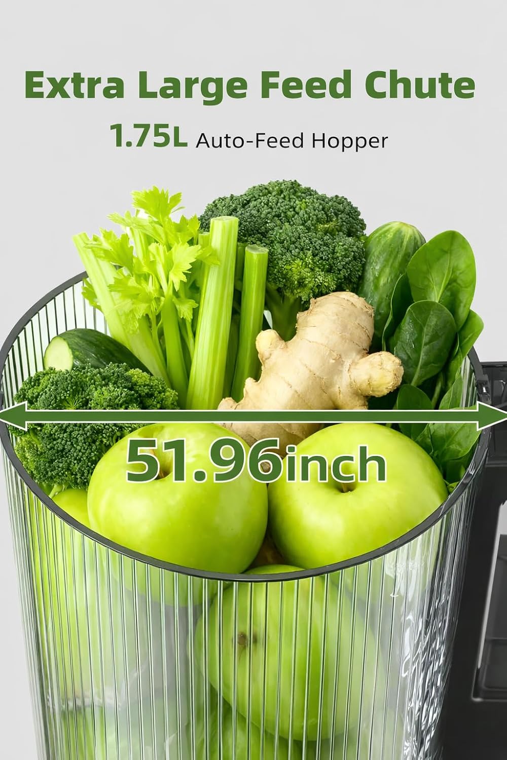ACOQOOS Entsafter, Entsafter für Ganze Gemüse und Obst, 132mm, Breite und Grössere Fütterungsröhre,