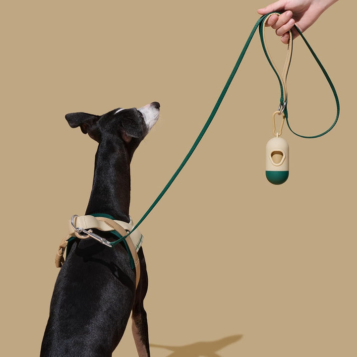 VETRESKA Hundegeschirr und Leine, Easy Walk Hundegeschirr für grosse und mittelgrosse Hunde, kein Zi