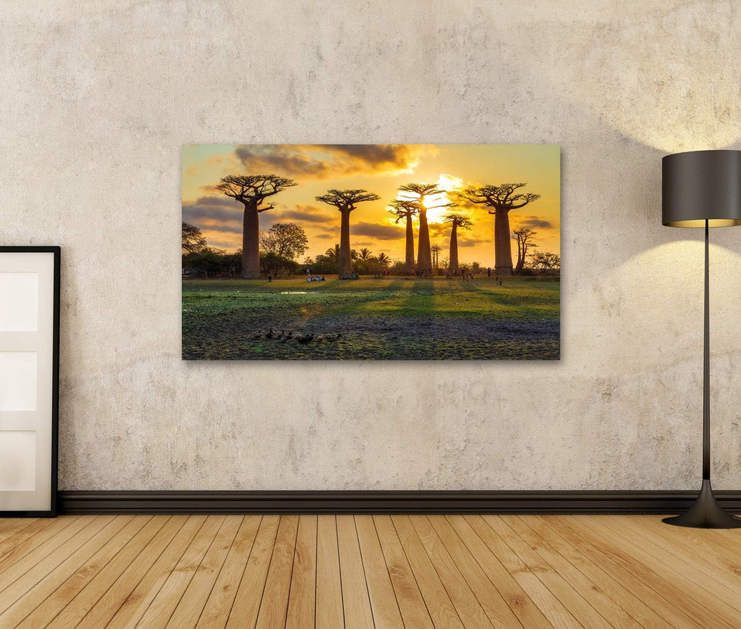 islandburner Bild Bilder auf Leinwand Schöne Baobabbäume bei Sonnenuntergang an der Allee der Baobab
