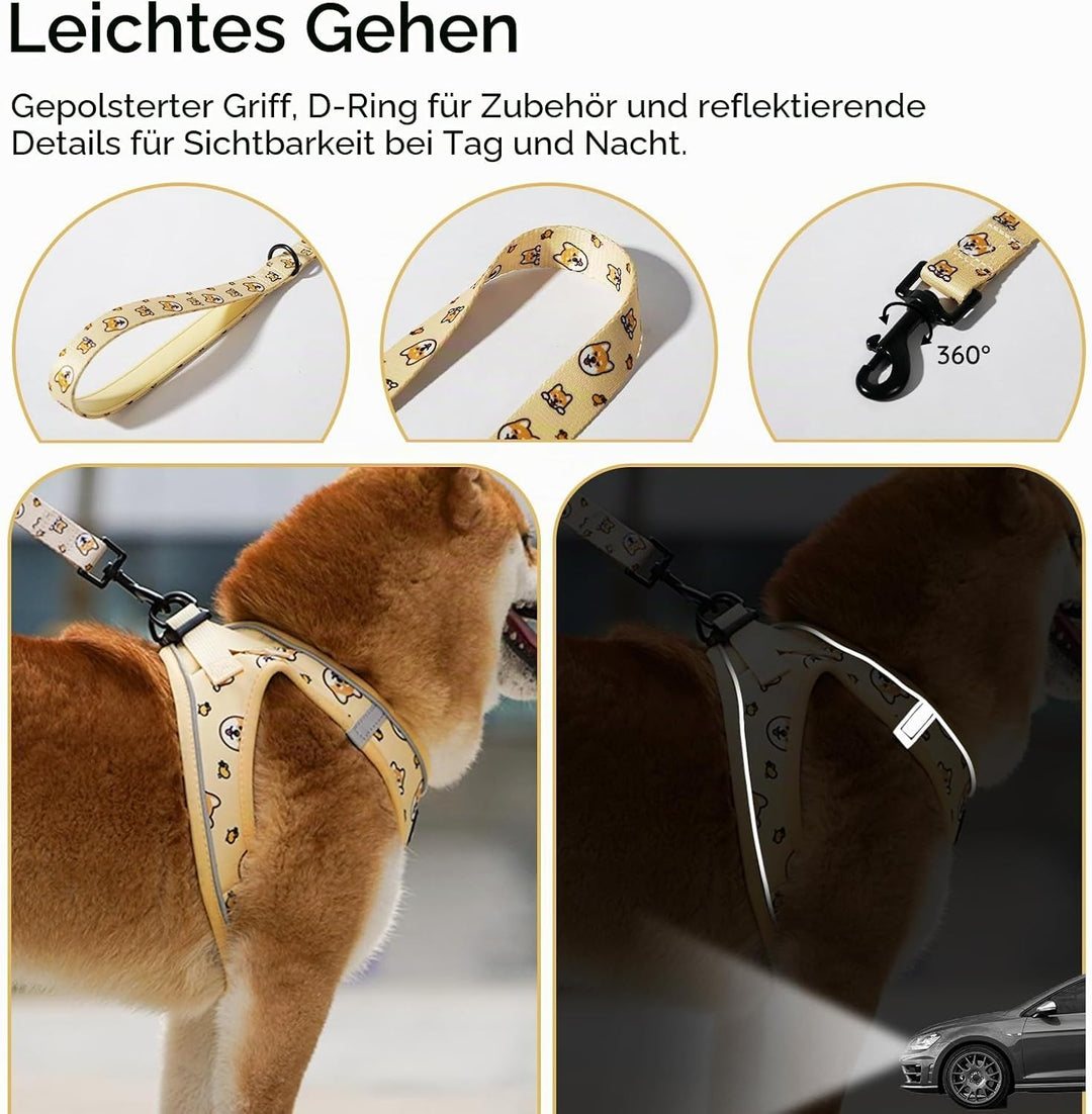 BELLA &amp; PAL Hundegeschirr Kleine Hunde mit Leine, Step-in Geschirr aus Air Mesh, Anti Zug Reflektier