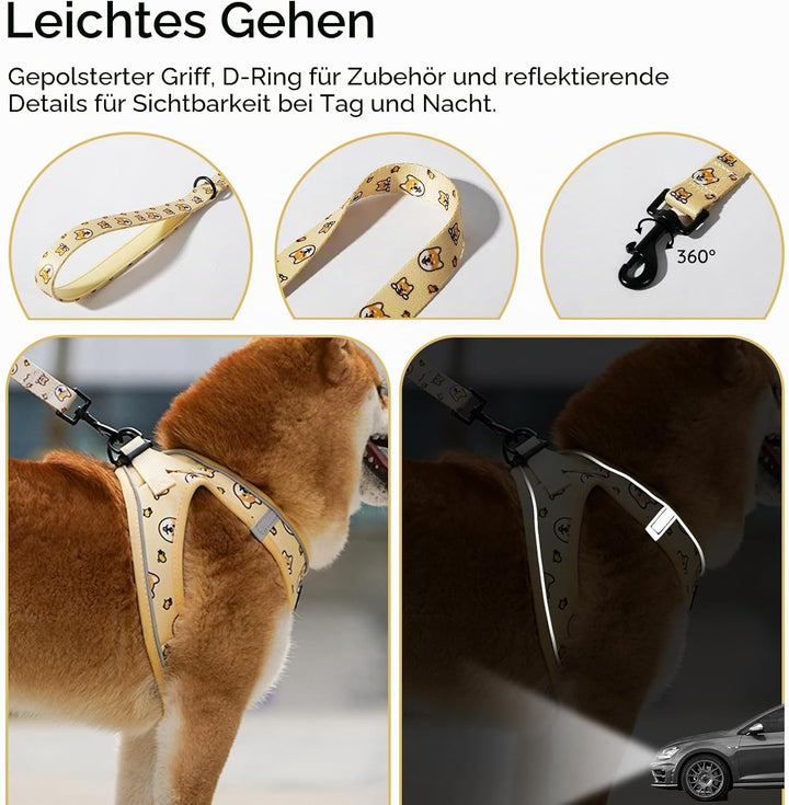 BELLA &amp; PAL Hundegeschirr Kleine Hunde mit Leine, Step-in Geschirr aus Air Mesh, Anti Zug Reflektier