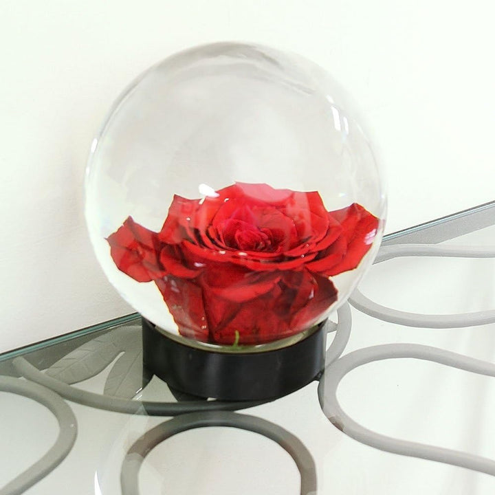 Achla Designs Blumenaquarium FLAQ-01 - Transparent 16,1925x16,1925x18,415 cm, 16,1925x16,1925x18,415