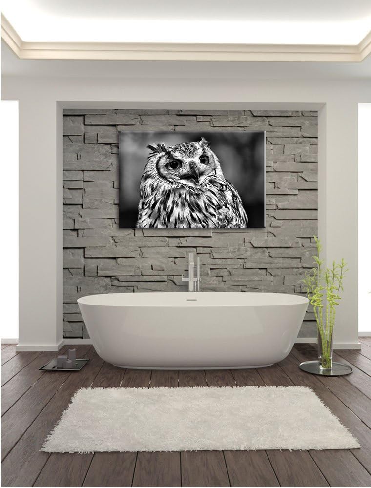Pixxprint sehr müde Waldeule als Leinwandbild/Grösse: 100x70 / Wandbild/Kunstdruck/fertig bespannt,