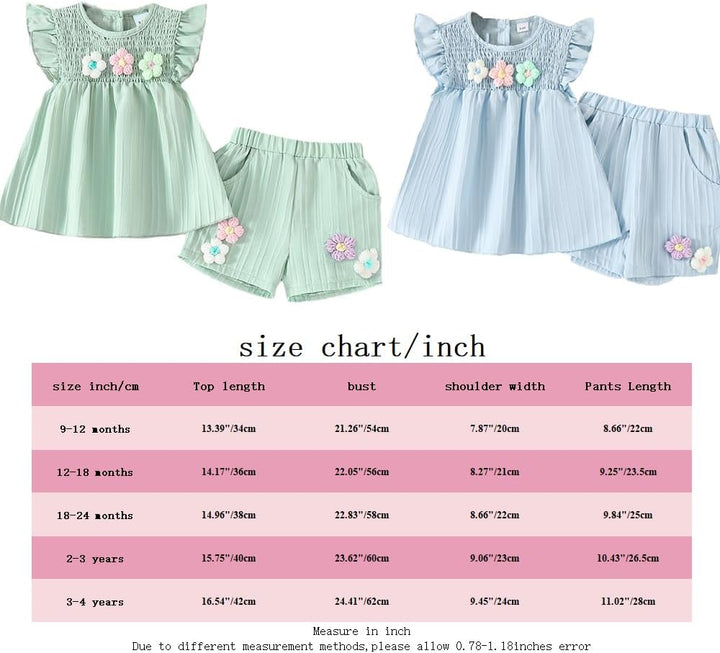 Kleinkind Baby Mädchen Kleidung Blumen Rüschen T-Shirts Tops Shorts Süsse Sommer Kleidung Sets 18-24