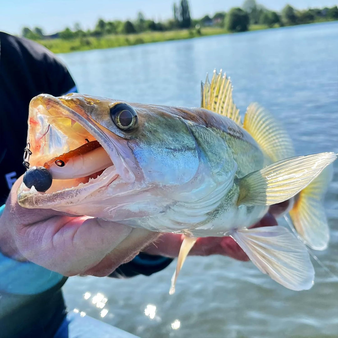 Zanderfang – Jigköpfe Angelhaken-Set Jighaken – Jigkopf Grösse 2/0 und 4/0 für Gummiköder von 8cm bi