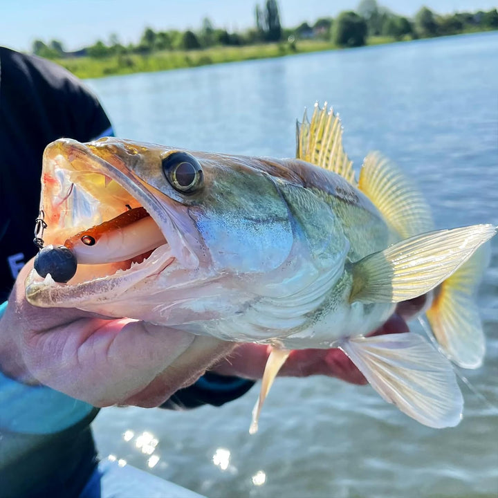 Zanderfang – Jigköpfe Angelhaken-Set Jighaken – Jigkopf Grösse 2/0 und 4/0 für Gummiköder von 8cm bi